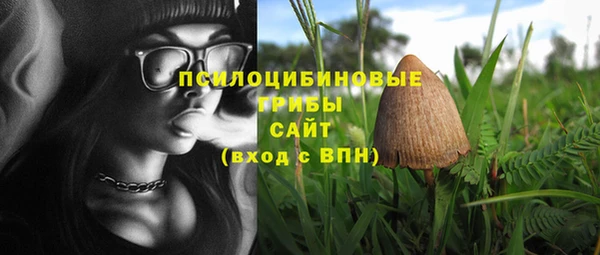 тгк Магадан