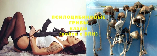 каннабис Майский