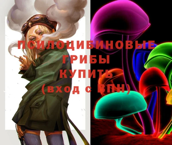 mdpv Магас