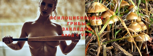 каннабис Майский