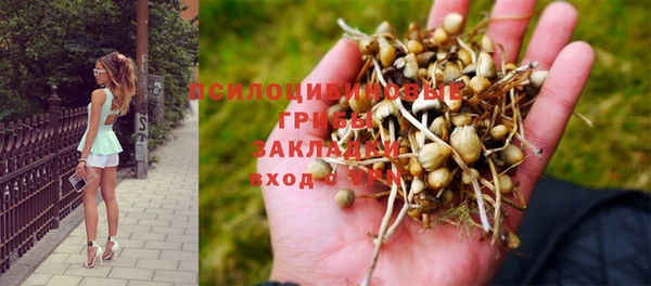 тгк Магадан