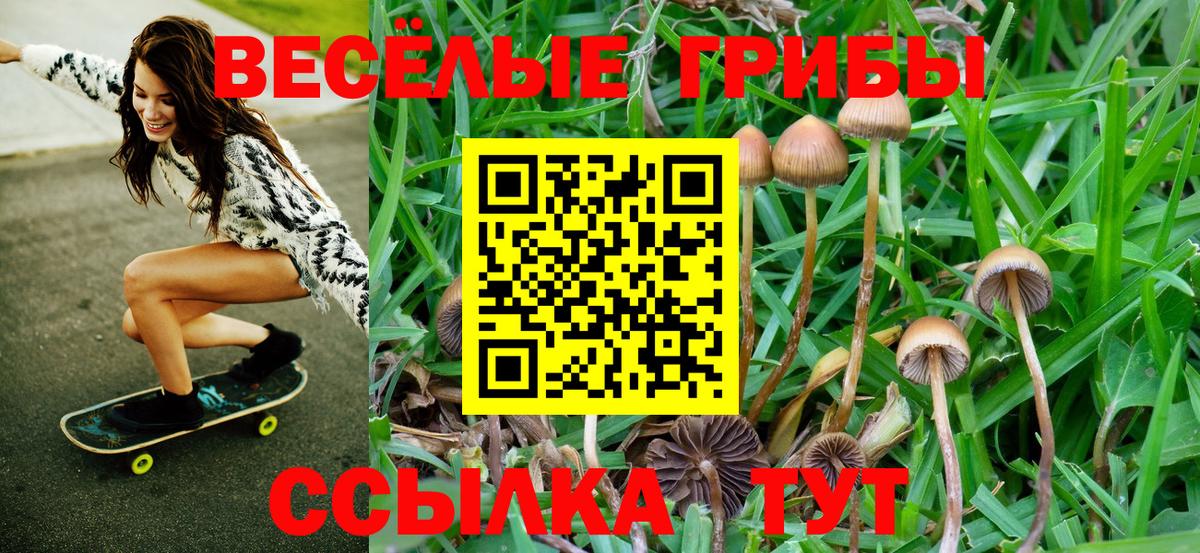 Галлюциногенные грибы прущие грибы Коломна