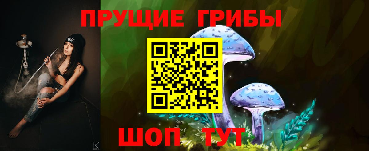 Галлюциногенные грибы Psilocybe  Коломна  Псилоцибиновые грибы GOLDEN TEACHER 